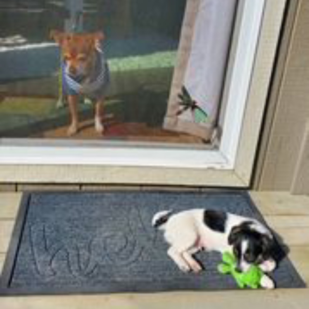 Meet your Posher, Lynn